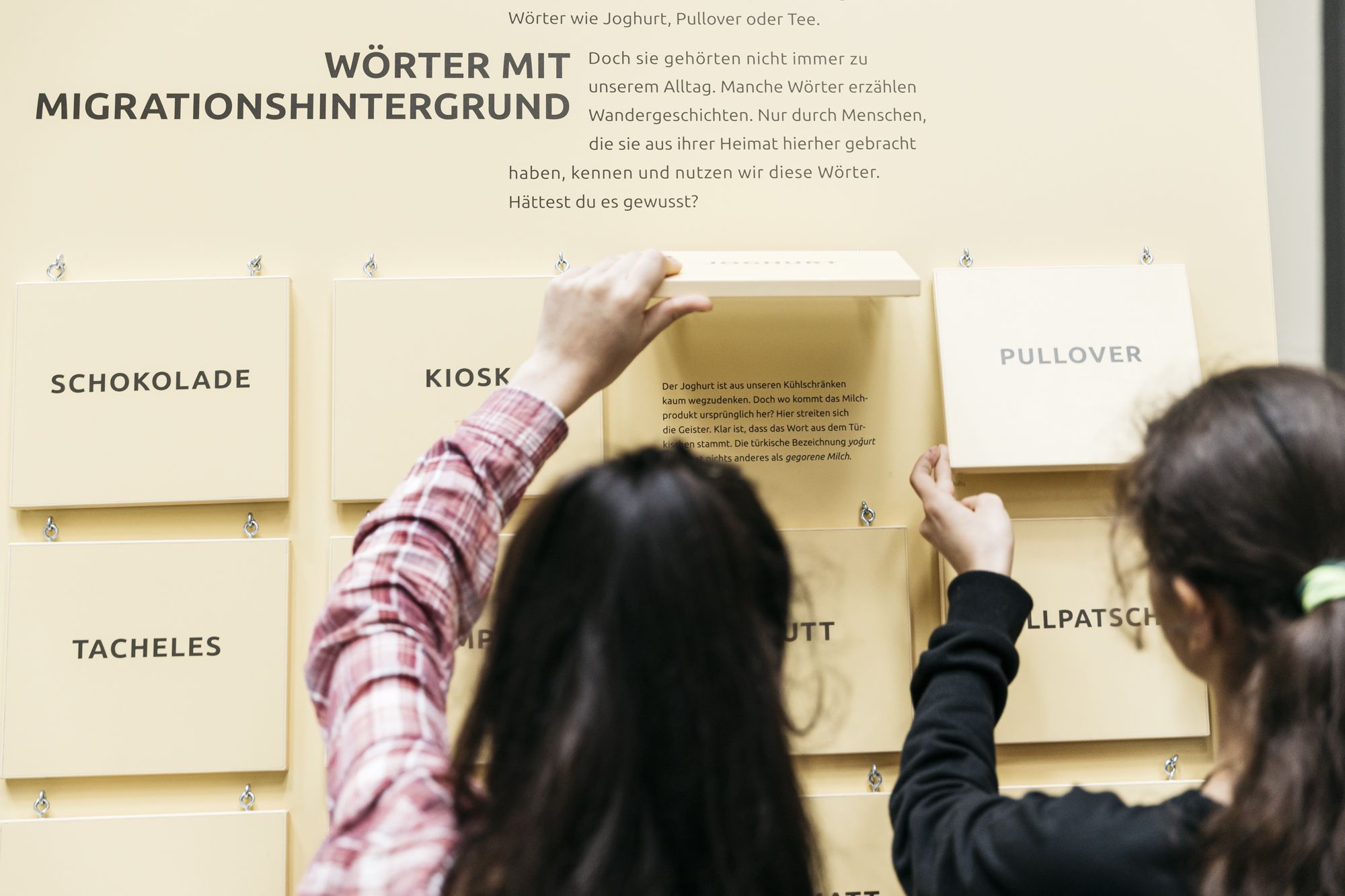 Bild von Youniworth Ausstellung